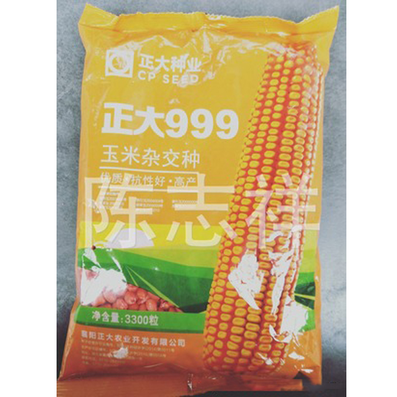 [供应]                           精品正大999玉米种 青储玉米